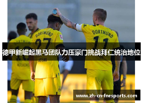 德甲新崛起黑马团队力压豪门挑战拜仁统治地位 德甲新崛起黑马团队力压豪门挑战拜仁统治地位