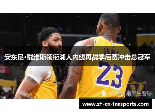 安东尼·戴维斯领衔湖人内线再战季后赛冲击总冠军 安东尼·戴维斯领衔湖人内线再战季后赛冲击总冠军